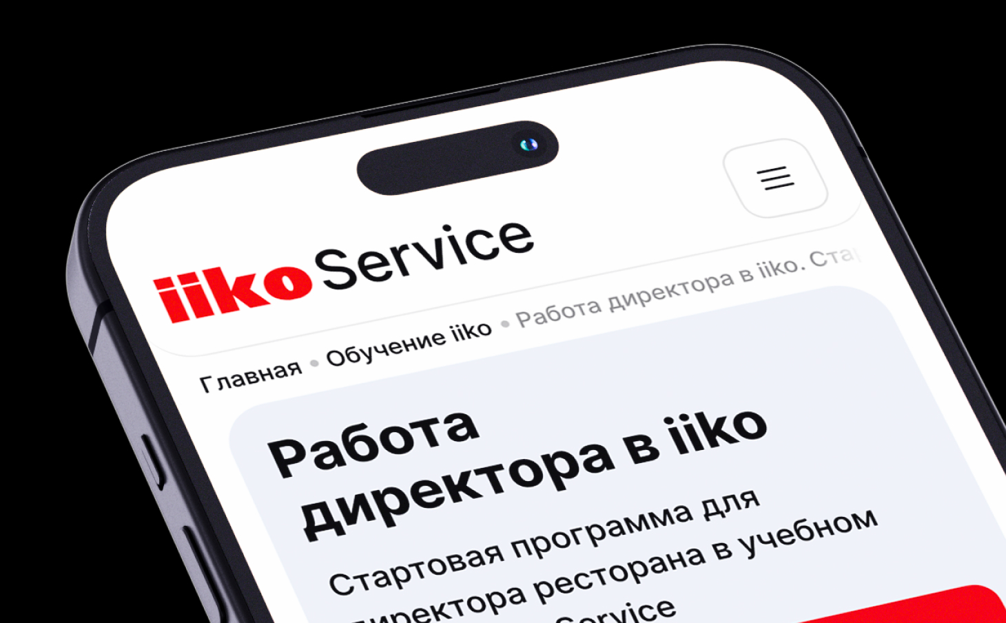 iiko Service