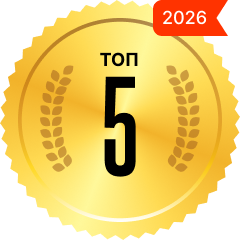 В разработке сайтов на WordPress